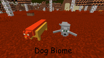 Dog Biome