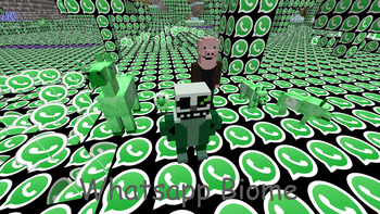 Whatsapp Biome