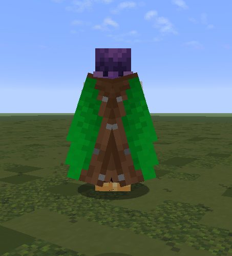 Custom elytra