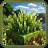 Velyra bushy grass and dry grass