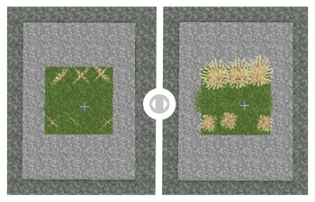 Before & After Comparison