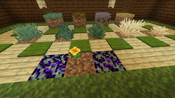New update showcase! (1.9)