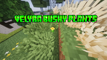 Velyra Bushy Plants banner