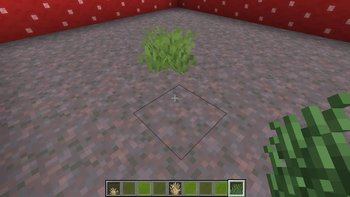 short grass
