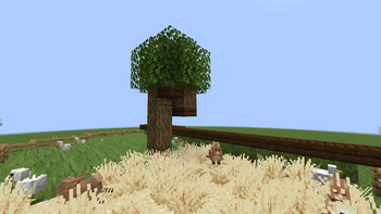 tiny desert/forest with rabbits and chickens!