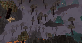 New biome nether
