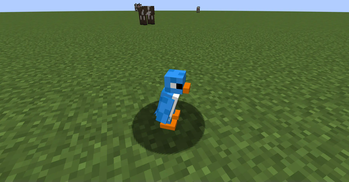 Little Blue Penguin