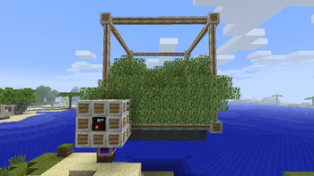 Skyroot Trees + Tree Farm