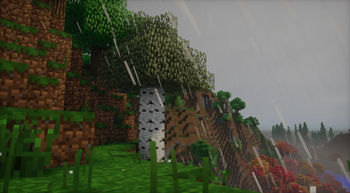 Rain!