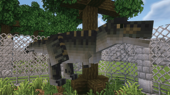 Male Tyrannosaurus Rex (Ember)