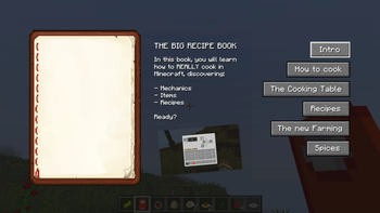 The complete guide on how to use the mod.