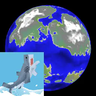 Big Globe x Ben's Sharks