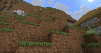 Grass and Dirt