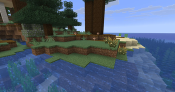 Grass and Podzol