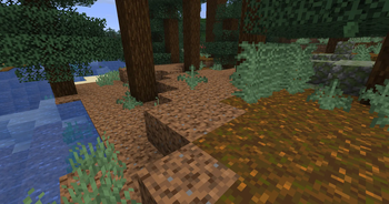 Coarse Dirt