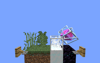 Blocks (With)