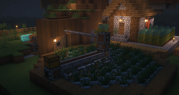 Rice Farm