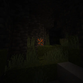 A Light in the Dark