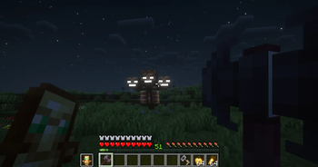 Wither fight