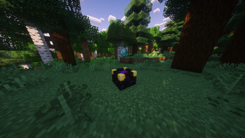 Contract Portal in the Forest