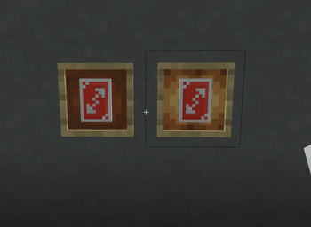 the item in item frames