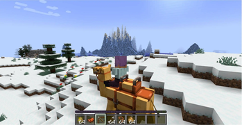 Camel