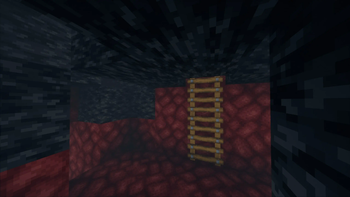 Bedrock at the roof of the Nether