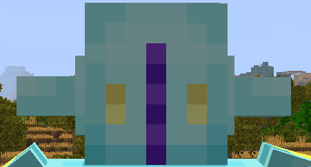 He is watching