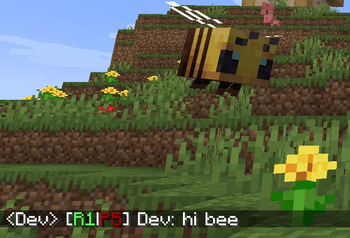 Hi bee