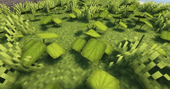 Jungle Grass