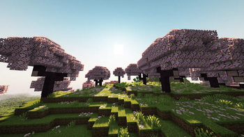 Cherry Grove (Complementary Shaders)