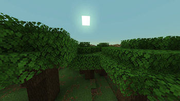 Dark Forest