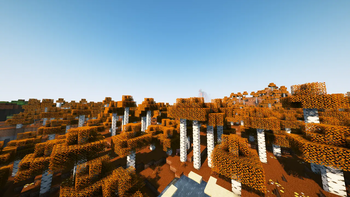 Birch Forest (Complementary Shaders)