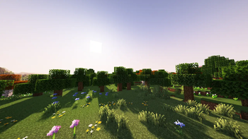 Flower Forest (Complementary Shaders)