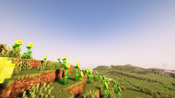 Sunflower Plains (Complementary Shaders)