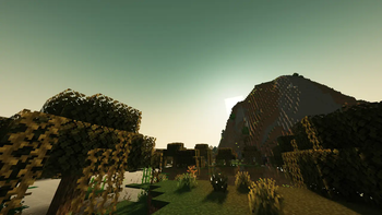 Swamp (Complementary Shaders)