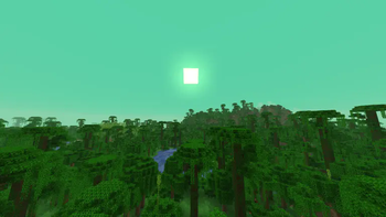 Jungle