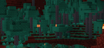 Warped Forest