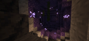 Amethyst Geode