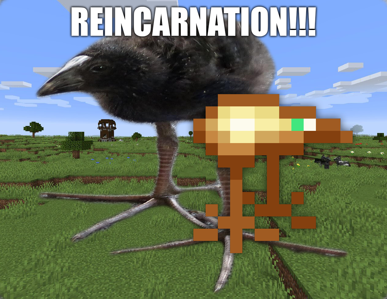 REINCARNATION!!!