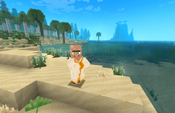 Villager with a Seaside View