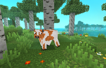 Cow Giving Me a Side-Eye