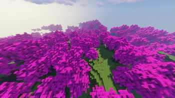 Sakura Forest