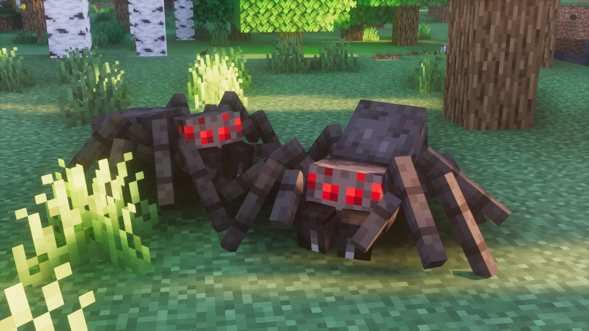 More Spiders