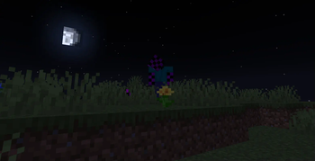 The Entity
