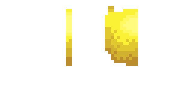 The elytra texture once worn