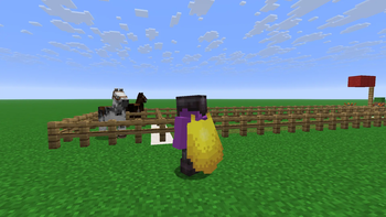 Someone wearing the elytra while gambling on a horse race