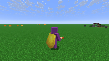 The elytra while grounded