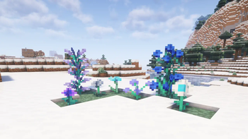 Cold Flowers