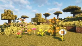 Warm Flowers